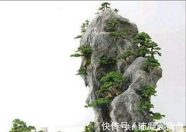 怎样才能修饰出更显自然的山水盆景