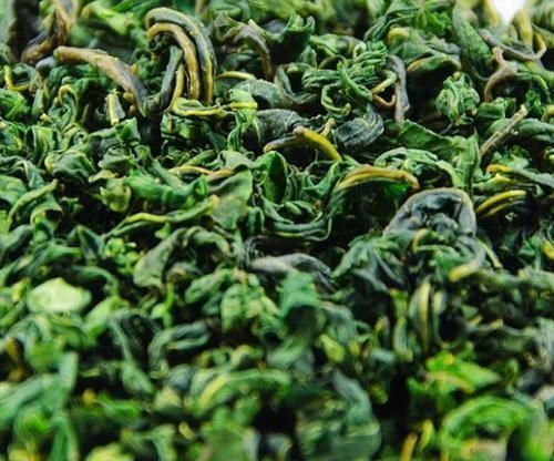 桑茶|桑叶又称”神仙草“,坚持用桑叶泡水喝一周,4大喜事会悄悄登门