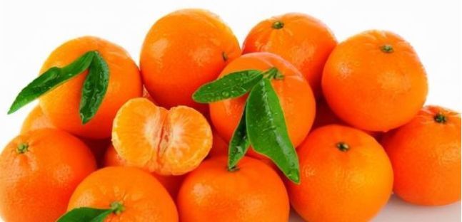 回家过年|奶奶和我说,过年家里要准备3种如意果,寓意福气东来