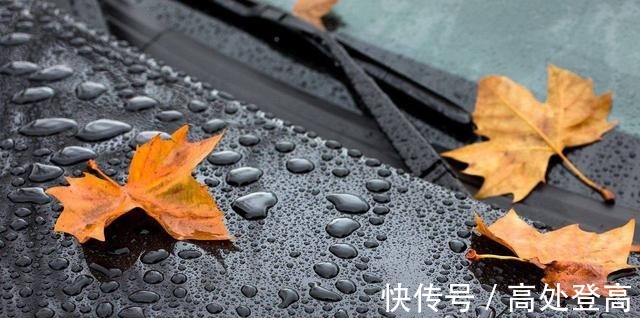 涵养|要是别人看不起你，请牢记这4句话，会让你心气更顺