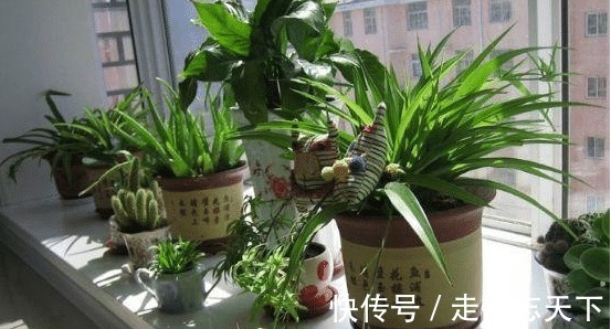 纳米矿晶|佛山3岁男孩突患白血病,抢救无效离世,丈夫怒骂妻子是你害的!