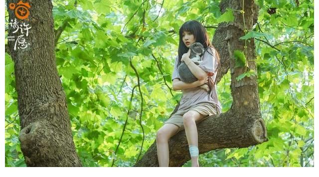 青春有你2|《喵，請(qǐng)?jiān)S愿》今晚首播，“獅子貓”葛鑫怡來地球向任宥綸報(bào)恩啦