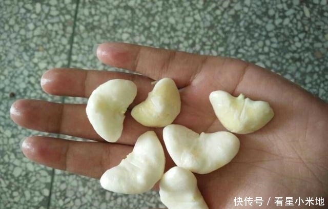 水下|长在水下的“花生”,皮脆肉美卖4元一斤,有谁认识吗?