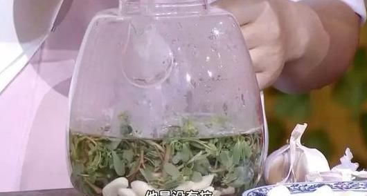 不吃|救命的马齿苋,99的人不知道的作用再不吃就晚了