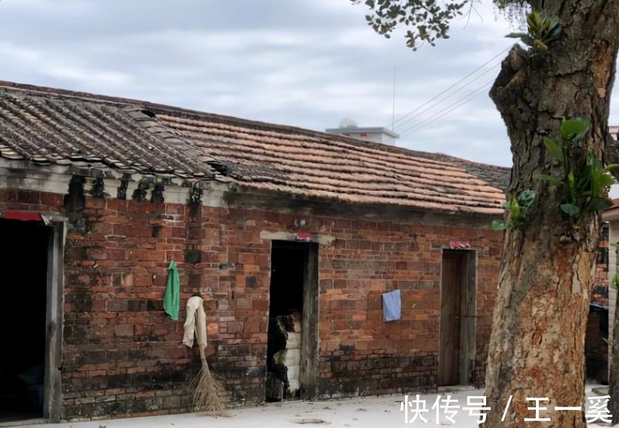 中国跳水队|全红婵两跳入海征服国际泳联,个人奖金公开,下一站赛点时间敲定
