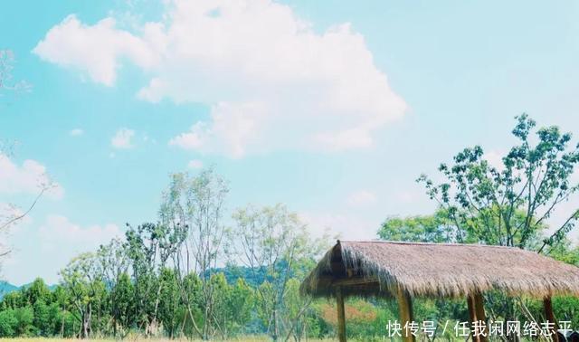 金山银山|「区县解读」南岸不是谁都能拿2个“国家级”