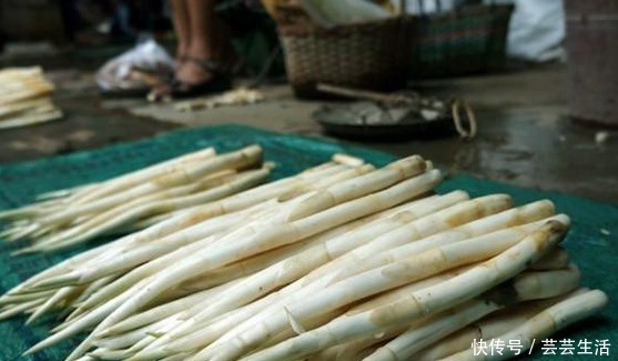香蒲|常被误认成藕带，“爷爷辈”闹饥荒时才吃，如今成高端菜25元1斤