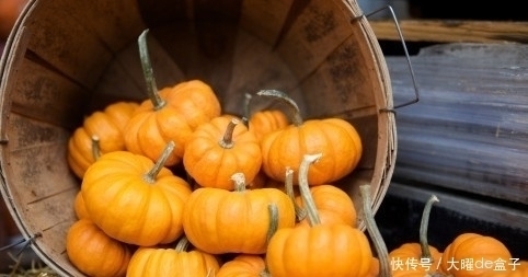 南瓜|南瓜和此物一起煮,肝脏好了,气血又红润,皮肤更加细腻光滑