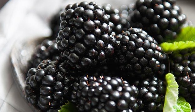 排毒|冬季养生,4种食物每天吃点,排毒养肝,调理血气,促进肝脏解毒