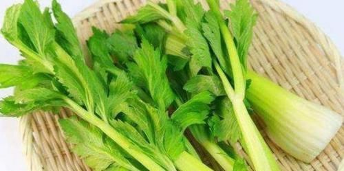 补血益气|以下3种食物女性可常吃，美容养颜，补血益气，提高免疫力