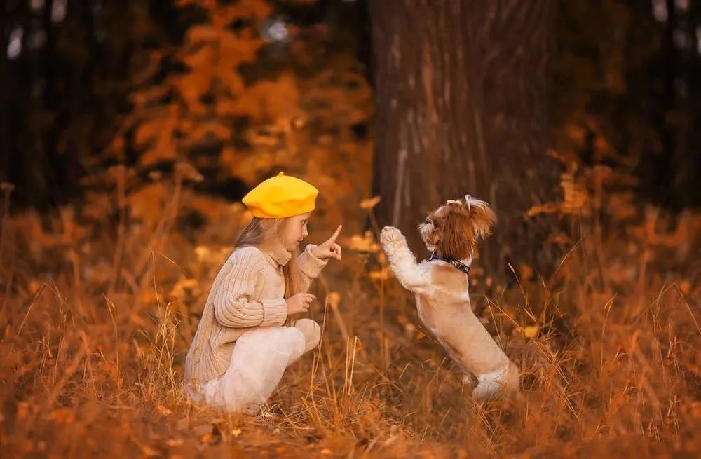 父母|对孩子这5点,你管得越严,孩子越成才