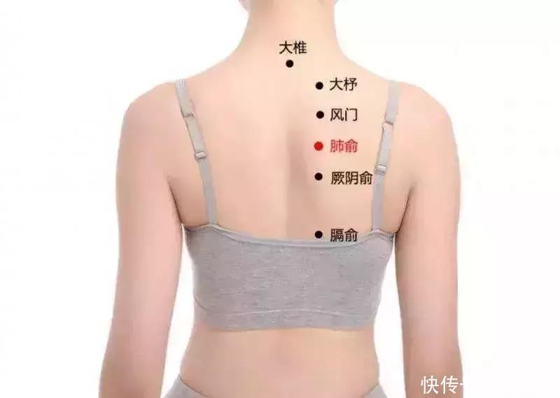 养肺就是养命,再错过,这个冬天就太难了