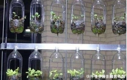 家里这几种东西不要扔掉,都十分的实用,扔掉你会后悔的