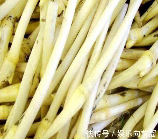 长寿|人到中年想长寿，不妨多吃3种食物，补充营养，身体棒棒哒！