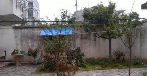 我的100㎡农家小院,种菜、养花、植树、养鱼,漂亮极了