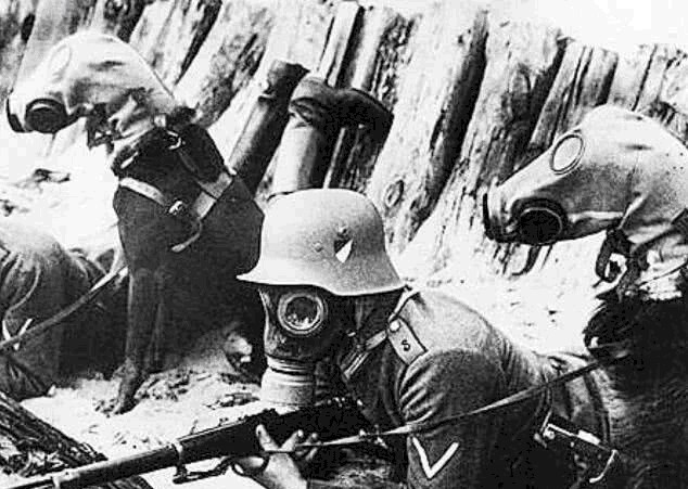 伤亡人数|为何一战被许多人评为最惨烈的战争，而不是伤亡人数更多的二战