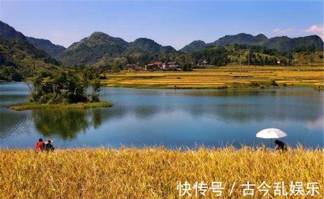 秋季|秋季分“三色”,秋季不同阶段,鱼在不同位置,钓位选择有变化