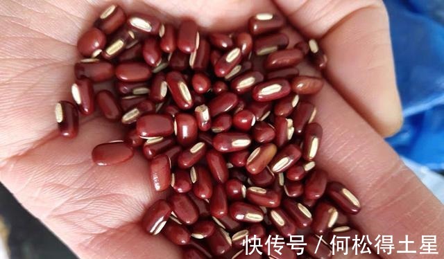赤小豆|入伏后，不管有钱没钱，家中都要常备这4宝，应时而食，平安度夏！