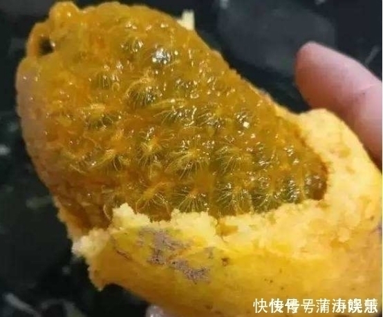 维生素c|女性不想子宫早衰,多吃此果,子宫慢慢变好,远离妇科炎症