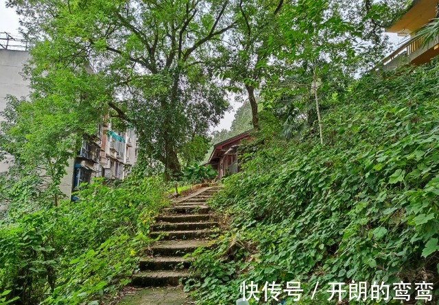 老房子|长沙这里的老房子破烂不堪,地缘优势堪比五一广场,但没人敢拆