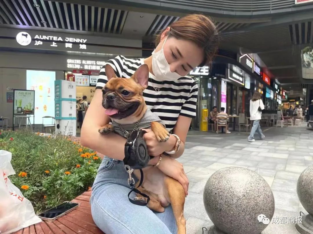 henry|你的成都，一直都在