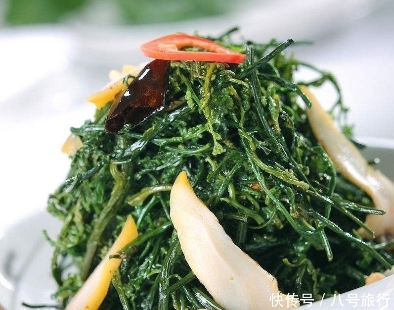 蕨甙|它才是真正的“野菜之王”,生长之地堪称仙境,却常被误认成蕨菜