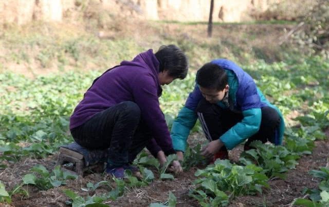 老人|父母出门旅游,让乡下婆婆帮忙带娃,回来后闺女让妈妈“崩溃”
