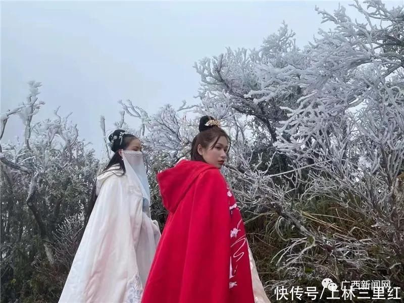 雾凇|是仙境吧！大明山出现绝美雾凇大片，美呆了