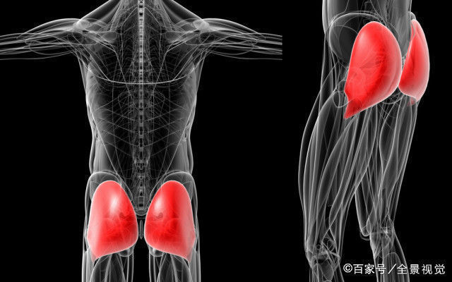 臀大肌|号称“中国第一美臀女神”姜黎明她将臀部练到极致，让人羡慕