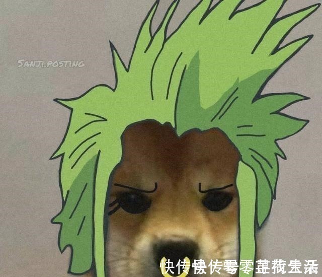 狗狗|海贼王狗头系列,9大角色神还原,狗圈的COS大佬掌握角色精髓