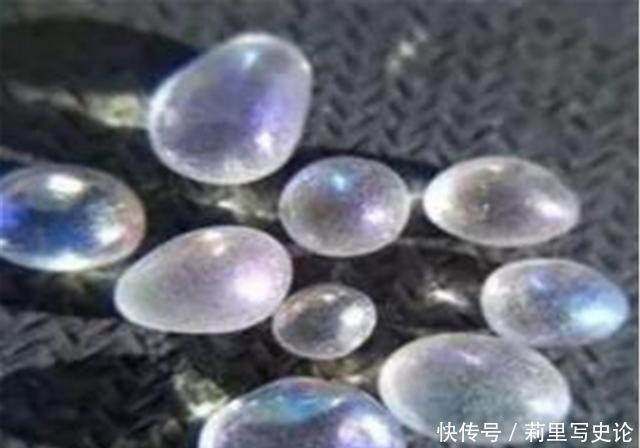 人会|佛教舍利子,为何只有得道高僧圆寂后才有一般人会有吗