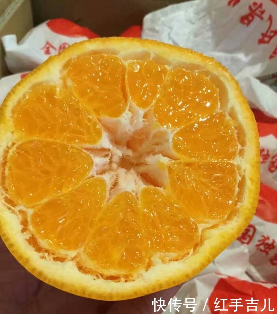 市面上很红的丑橘和粑粑柑到底有啥区别