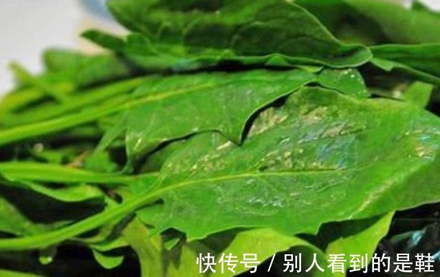 猪皮|4物是天然的“黄体酮”,女人平时多吃,或许妇科病不会来找