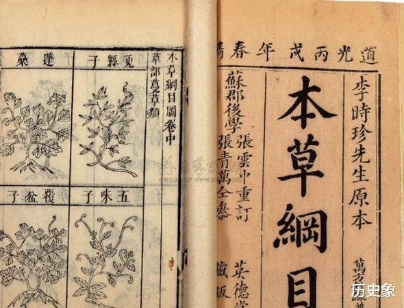 《本草纲目》记载人粪苦寒!李时珍如何知晓,难道他真的尝过