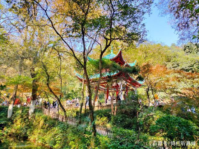 《七绝.初冬印象》霜染苍茫已入冬，枝条飞叶落无穷