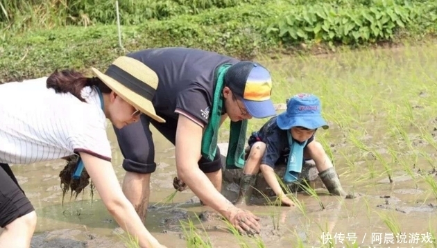 孩子|郭晶晶3个孩子吃饭照火了,餐具太吸睛,这才是真正的“富养”