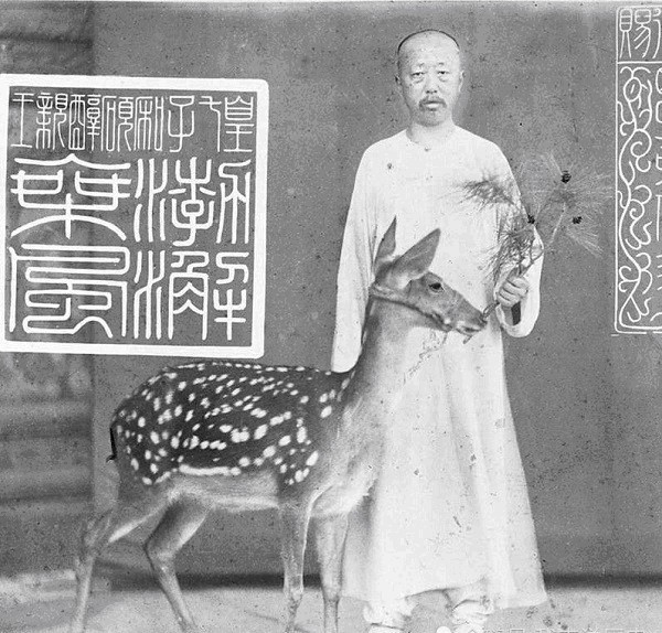 慈禧|慈禧的妹夫，光绪的生父——爱新觉罗·奕譞