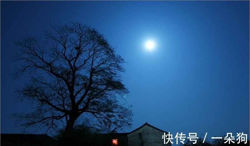 天涯|夜晚读唐诗,让人想家:“灯前一觉江南梦,惆怅起来山月斜”
