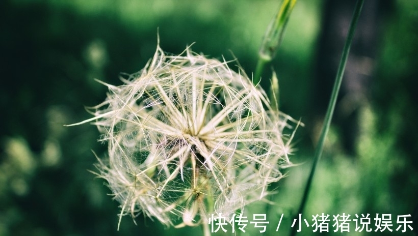 排行榜|12月，星座桃花排行榜，这些星座依然无意中喜获真爱，有的真爱