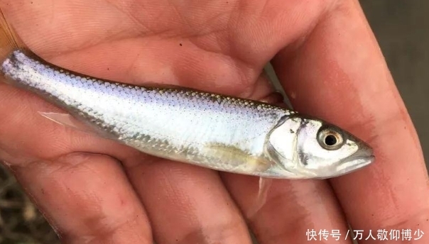 遇到倒春寒，也可以愉快地钓鱼