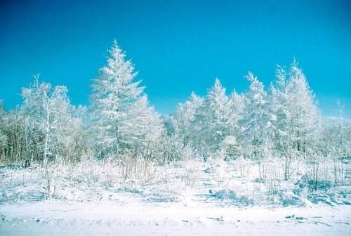 内蒙古隐藏的边境天路，赏世界级冰雪奇景，资深驴友才去过