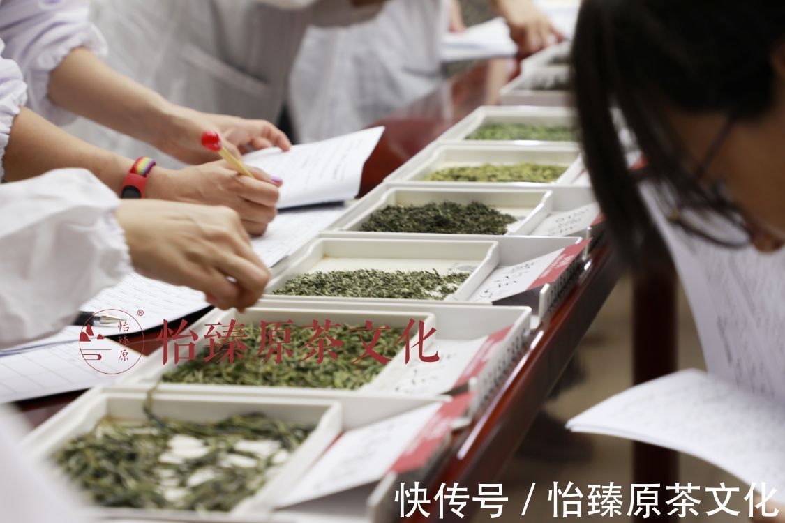 评语|绿茶科普：喝茶时常用到的评茶术语，爱茶人必备知识