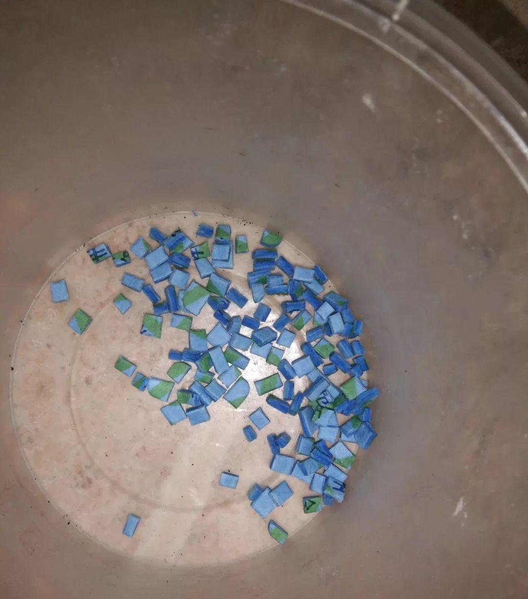 夏天养花“招虫子”6种方法存好了,安全又有效!