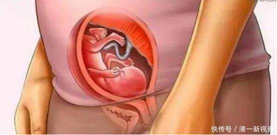 体重|宝宝是怎么被慢慢孕育出来的,十张过程图,一切来之不易