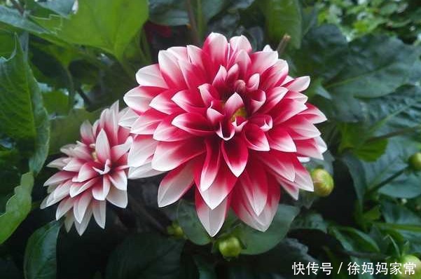 俗话说:天无绝人之路,霉运降临时牢记4句话,必将财福满满!