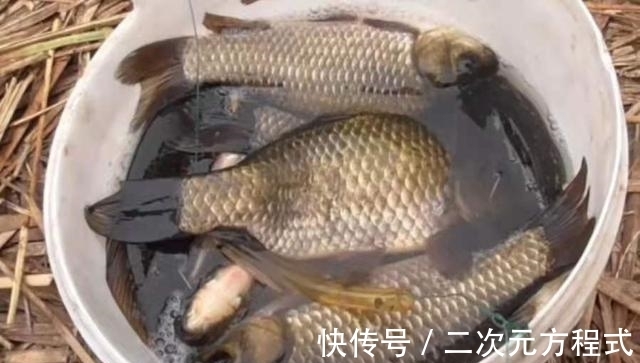 酱层|水底太脏,就不好钓鱼了?按我说的做,三招之内必有口