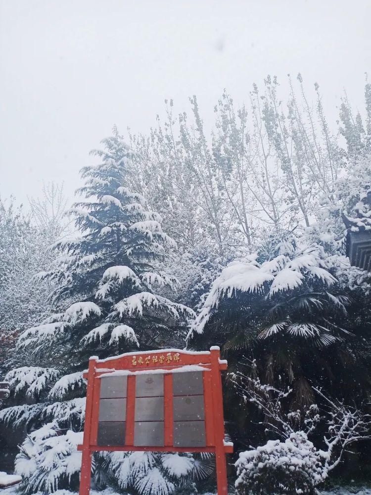 简直|雪中的泾阳，美得简直太...