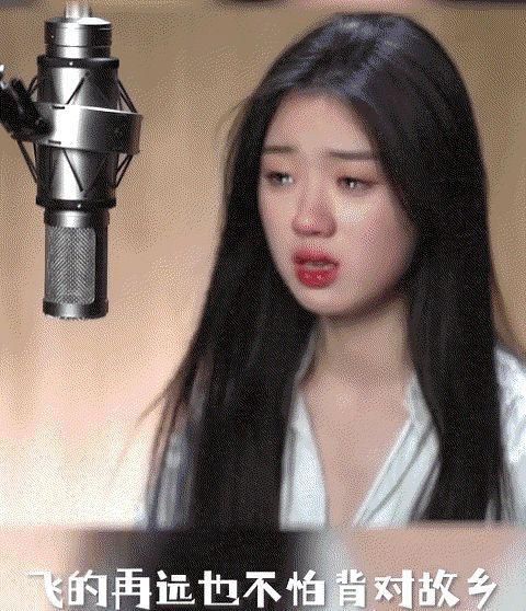 遇见 人说好声音难寻,可我一遇就遇见单依纯,柔美的歌声,入耳入心