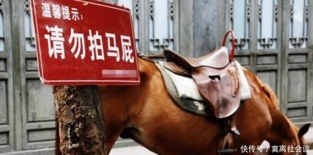 人文学院|贾浅浅很浅，但文学圈的水是真深，名声都能继承，互相“拍马屁”是常态