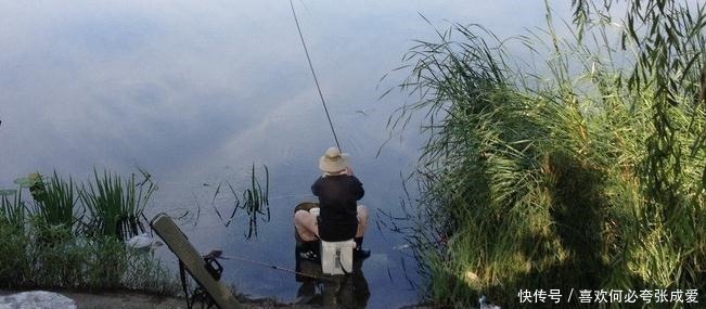 钓友|夏季三伏天钓鱼怎么钓钓鱼高手给你支个招,提高中鱼率!